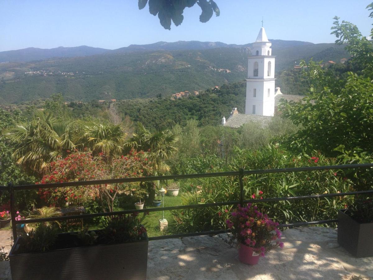 Casa Di Emma Bed and Breakfast Santo-Pietro-di-Tenda Εξωτερικό φωτογραφία
