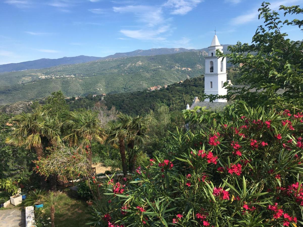 Casa Di Emma Bed and Breakfast Santo-Pietro-di-Tenda Εξωτερικό φωτογραφία